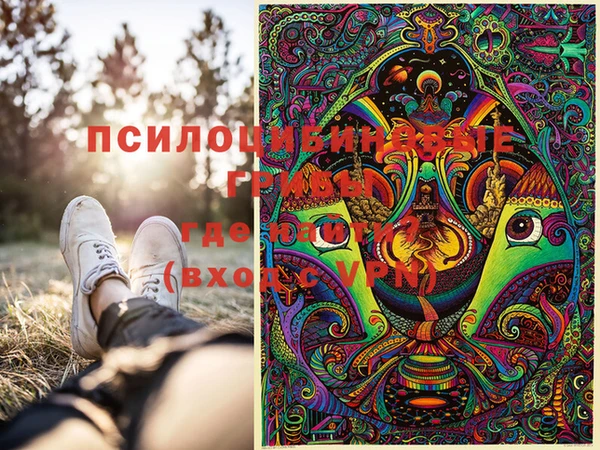МДПВ Аркадак