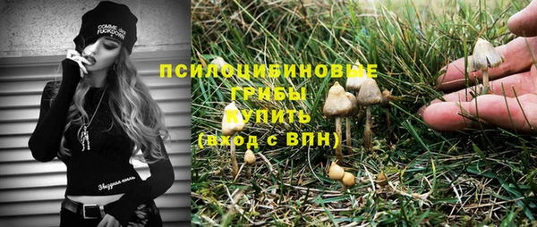 МДПВ Аркадак