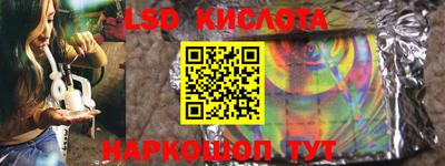 индика Новодвинск