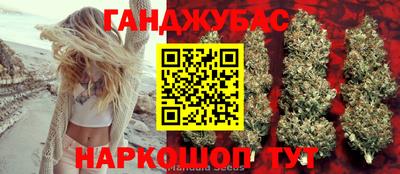 индика Новодвинск