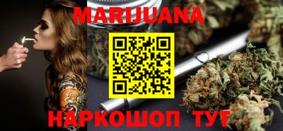 индика Новодвинск
