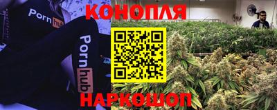 jwh Новозыбков