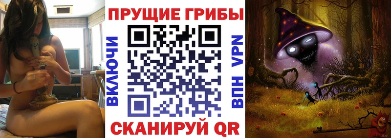 где продают наркотики  Томск  Псилоцибиновые грибы мухоморы 