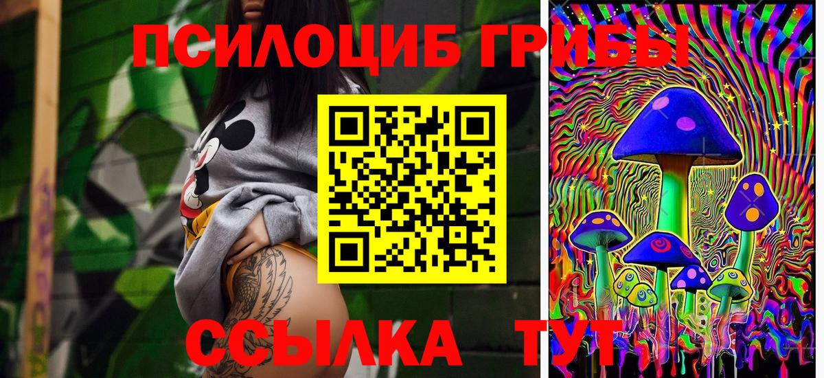 Псилоцибиновые грибы MAGIC MUSHROOMS  купить закладку  Томск  Галлюциногенные грибы MAGIC MUSHROOMS  Вход с VPN 